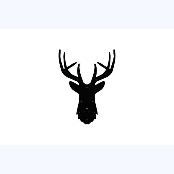   BW Deer 6 Thumbnail