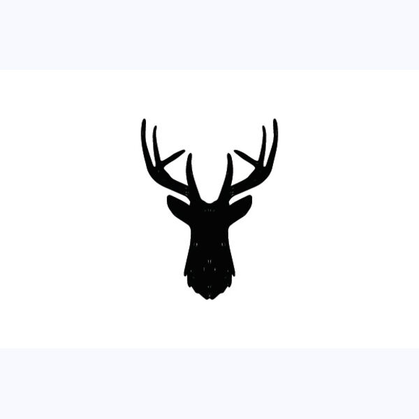   BW Deer 6 Thumbnail