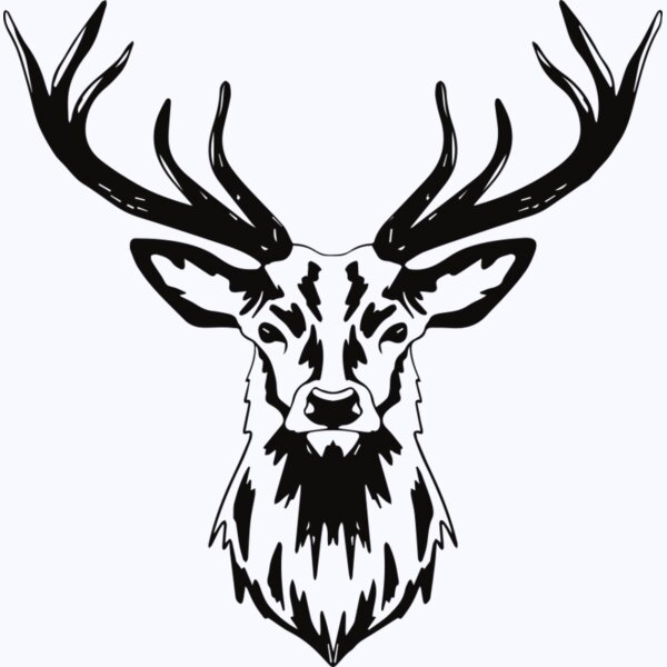   BW Deer 7 Thumbnail