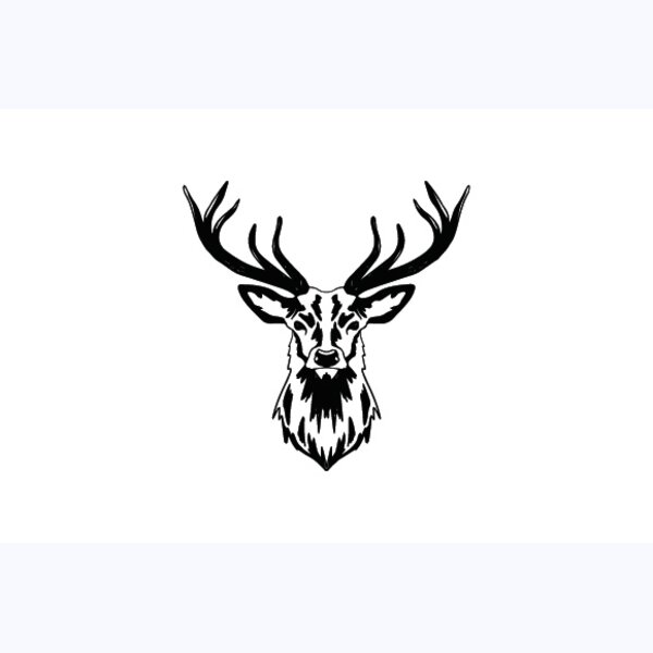   BW Deer 7 Thumbnail
