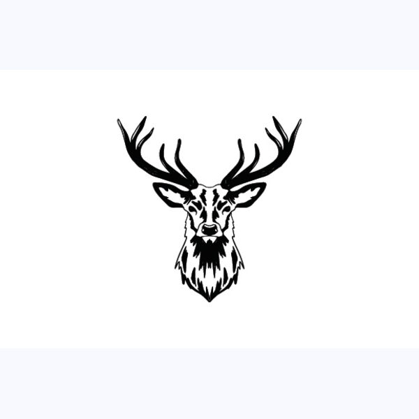   BW Deer 7 Thumbnail