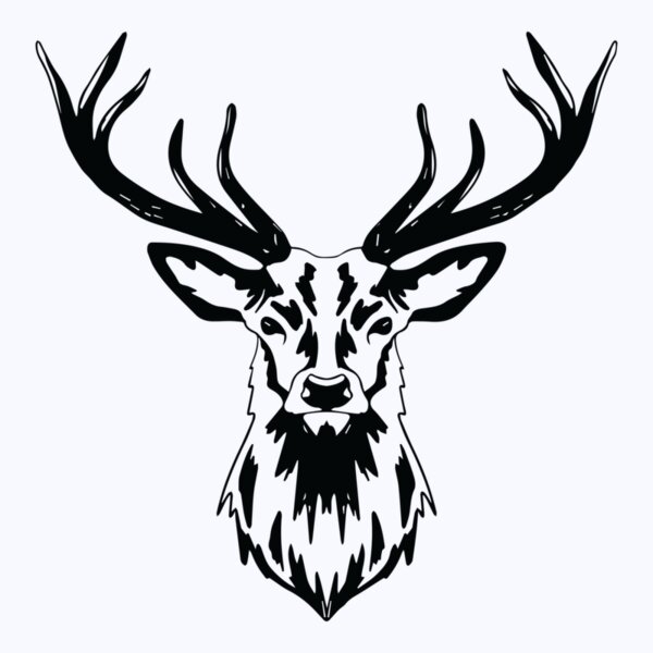   BW Deer 7 Thumbnail