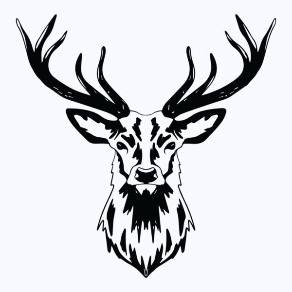   BW Deer 7 Thumbnail