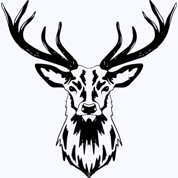   BW Deer 7 Thumbnail