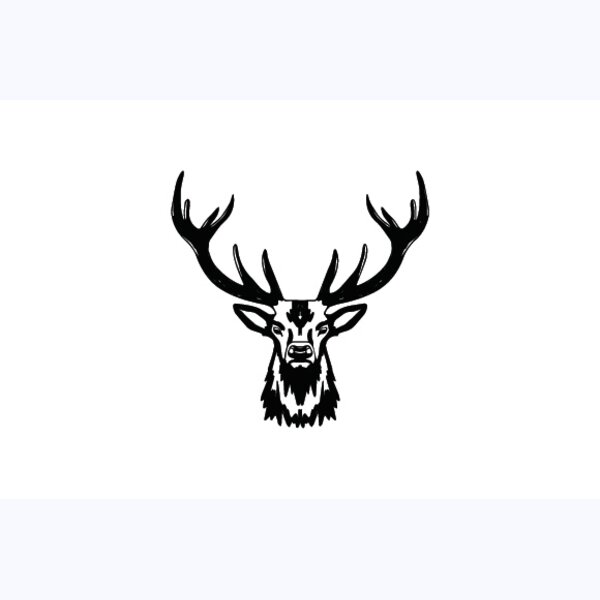   BW Deer 8 Thumbnail