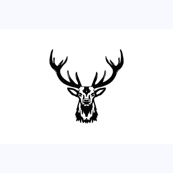   BW Deer 8 Thumbnail