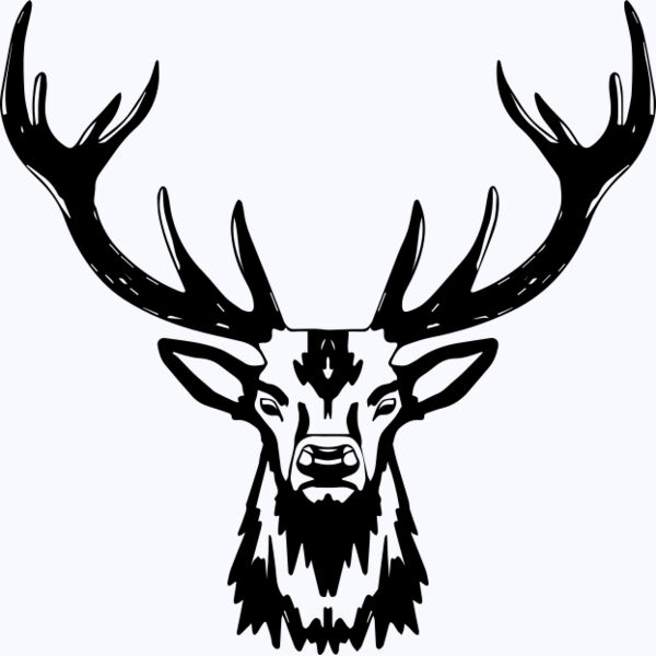   BW Deer 8 Thumbnail