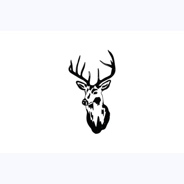   BW Deer 9 Thumbnail
