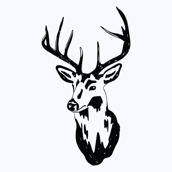   BW Deer 9 Thumbnail