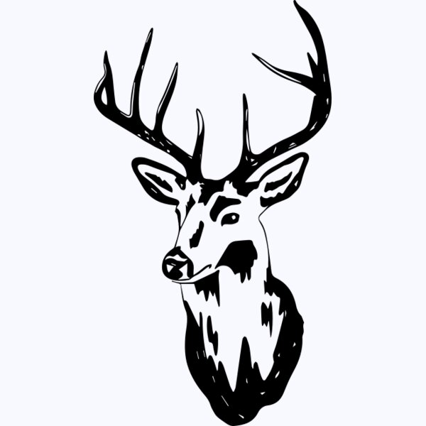   BW Deer 9 Thumbnail