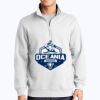 1/4 Zip Sweatshirt Thumbnail